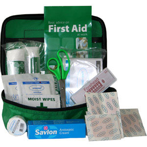 Enhanced DfEE Travel Kit